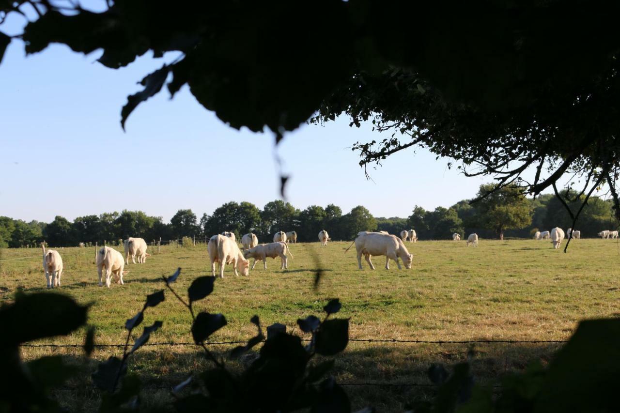 Le Bourgis Bed & Breakfast La Chapelle-Montligeon Exterior foto