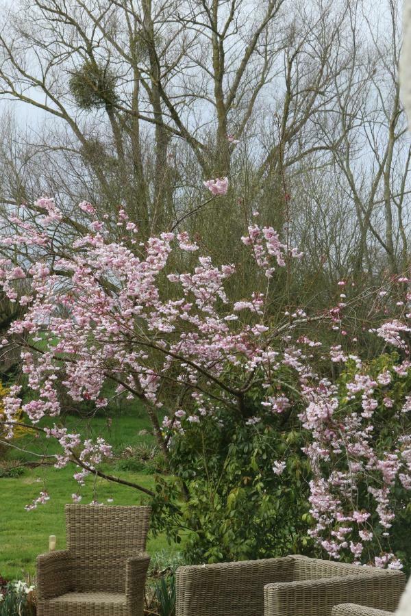 Le Bourgis Bed & Breakfast La Chapelle-Montligeon Exterior foto