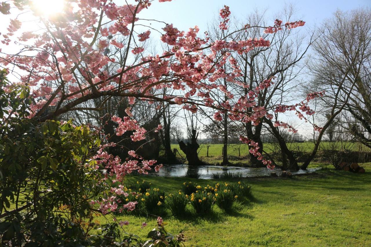 Le Bourgis Bed & Breakfast La Chapelle-Montligeon Exterior foto